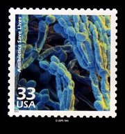 This USPS stamps notes that during the 1940s, the improvement of antibiotics saved lives the world over.