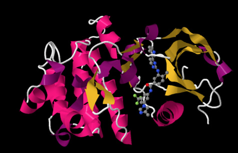 tyrosine kinase inhibitor with bound Nilotinib